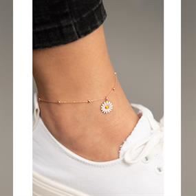 Mioli Jewels